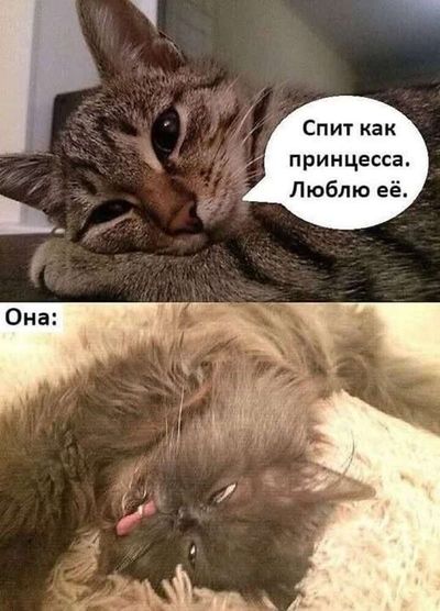 Post media