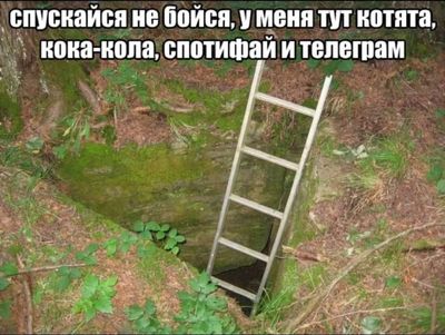 Post media