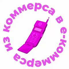 Из коммерса в е-коммерса avatar