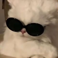 densk1y avatar