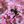 bees confessions avatar