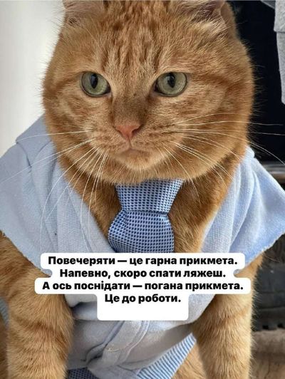 Post media