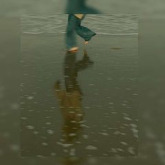 " وَية . avatar
