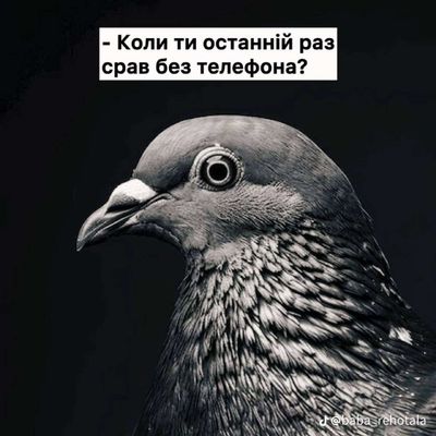 Post media