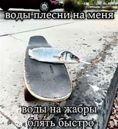 Post media