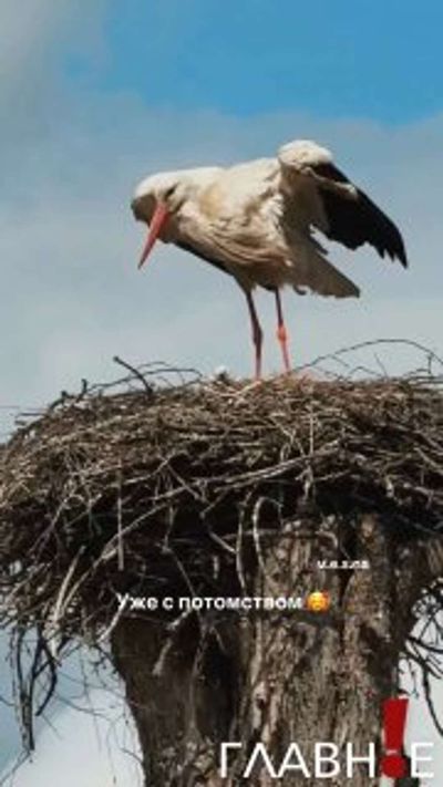 Post media
