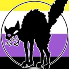 🏳️🌈Махно 160 сантиметрів🏳️⚧️ avatar