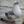 birds confession🪶🪹 avatar