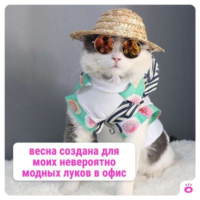 Post media