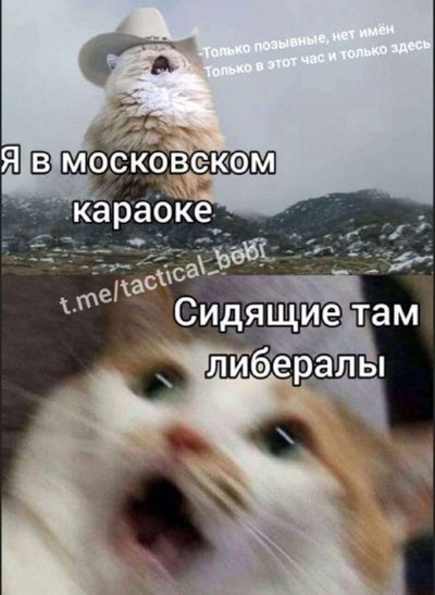 Post media