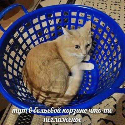 Post media