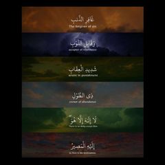 صيد القطوف 📚🖋 avatar