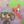 Sprout/Bassie cf avatar