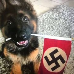 𝙨𝙬𝙖𝙨𝙩𝙞𝙠𝙖 𝙘𝙤𝙣𝙛𝙚𝙨𝙨𝙞𝙤𝙣!...卐 avatar