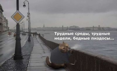 Post media