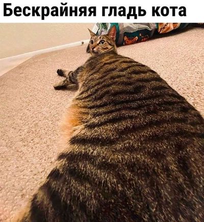 Post media