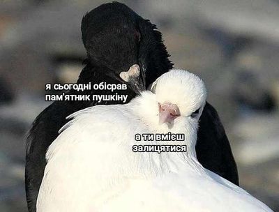 Post media