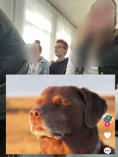 Post media