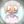 𑀥ᥲᥒɗy's gᥲⲙᥱs.NEWS•DAILY avatar