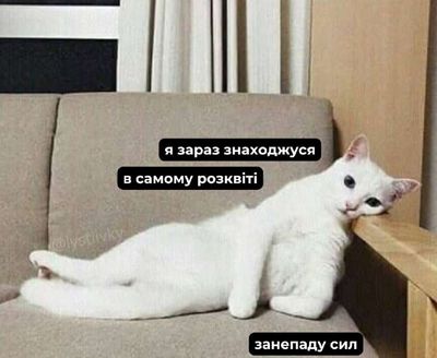 Post media