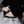 ㅤ𝚨urora (Rest) avatar