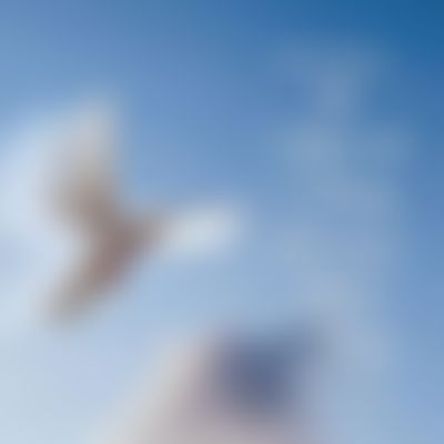 Post media background