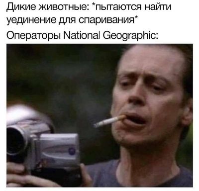 Post media