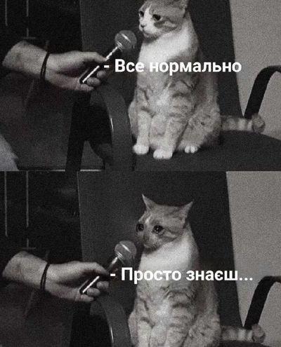 Post media