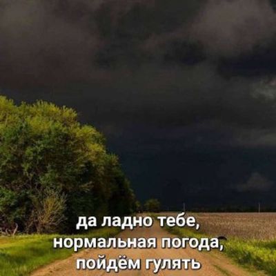 Post media