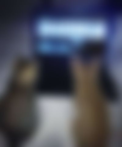 Post media background