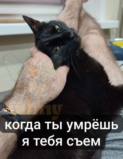 Post media