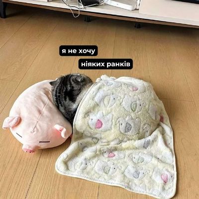 Post media