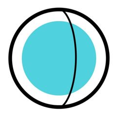 shape and line avatar