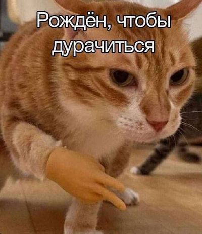 Post media