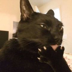 Full Autism avatar