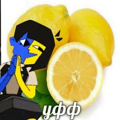 Лиʍᴏны ᴋᴏнɸᴇɯиᴏн!🍋!!ЗАКРЫТ!!! avatar