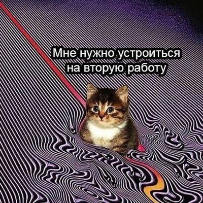 Post media
