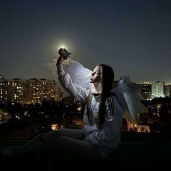Прайс/инфа 🩵Вᴇᴧᴏᴄиʍᴄи🪽 avatar