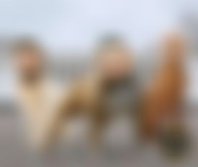 Post media background