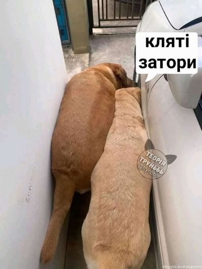 Post media