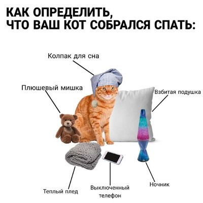 Post media