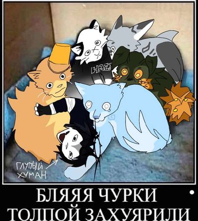 Post media