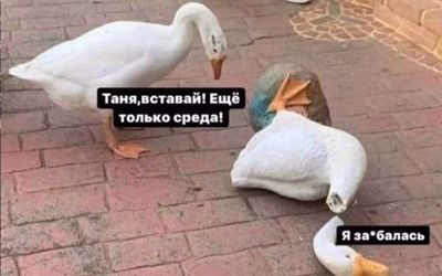 Post media