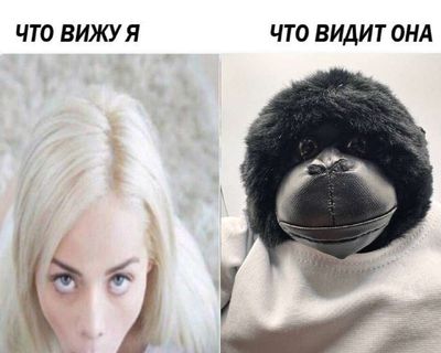 Post media