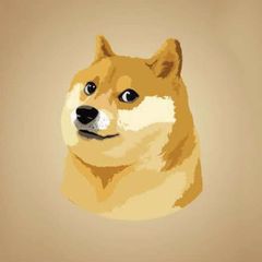 KABOCOIN CTO avatar
