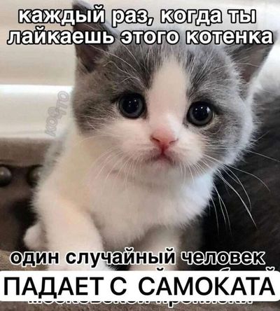 Post media