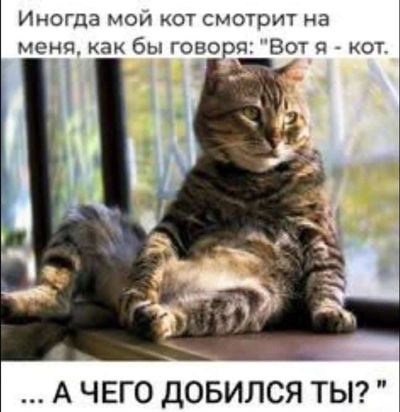 Post media