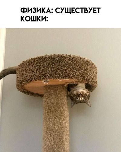 Post media