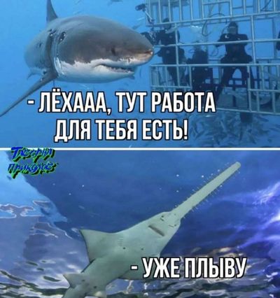 Post media