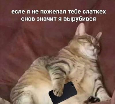 Post media